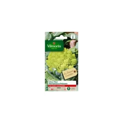 Graines de Chou-fleur Romanesco précoce Vilmorin Légumes d’autrefois - graines à semer