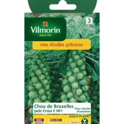Graines de choux de Bruxelles jade cross HF1 Vilmorin - graines à semer