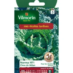 Graines de choux de Milan norma HF1 Vilmorin - graines à semer