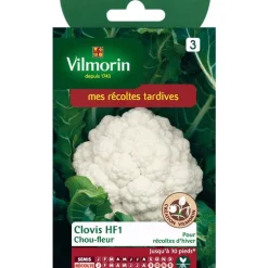 Graines de choux fleur Clovis HF1 Vilmorin - graines à semer