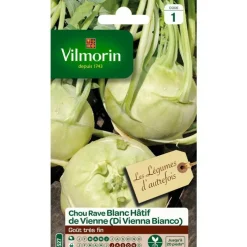 Graines de choux rave blanc hatif de Vienne Vilmorin - graines à semer