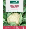 Graines de choux-fleur géant d'automne primus botanic® - graines à semer