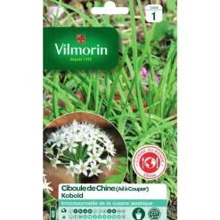Graines de ciboule de Chine Kobold Vilmorin - graines à semer