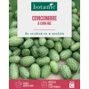 Graines de concombre à confire botanic® - graines à semer