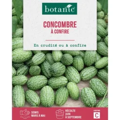 Graines de concombre à confire botanic® - graines à semer