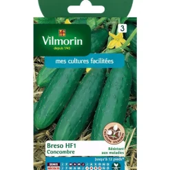 Graines de Concombre Bredo HF1 Vilmorin - graines à semer
