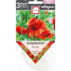 Graines de Coquelicot sauvage bio Ernest Turc - graines à semer