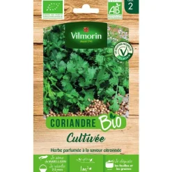 Graines de coriandre bio Vilmorin - graines à semer
