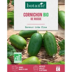 Graines de cornichon de Russie bio botanic® - graines à semer