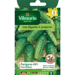 Graines de cornichon parigyno Vilmorin - graines à semer