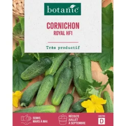 Graines de cornichon royal HF1 botanic® - graines à semer