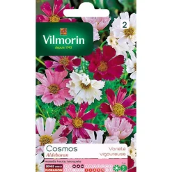 Graines de Cosmos Aldebaran varié Vilmorin - graines à semer