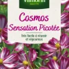 Graines de Cosmos Sensation Picotée Vilmorin - graines à semer