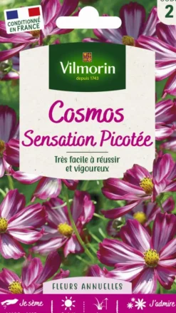 Graines de Cosmos Sensation Picotée Vilmorin - graines à semer