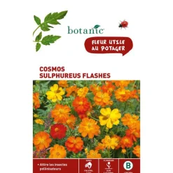Graines de cosmos sulphureus flashe orange botanic® - graines à semer