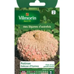 Graines de courge galeuse Vilmorin - graines à semer