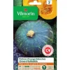 Graines de courge Kabocha green Hokkaïdo Vilmorin - graines à semer