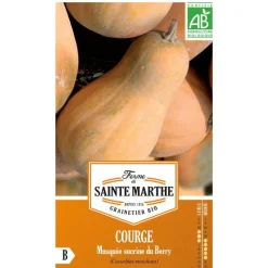 Graines de courge musquée sucrine du Berry bio Ferme de Sainte Marthe - graines à semer