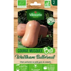 Graines de courge musquée waltham butternut bio Vilmorin - graines à semer