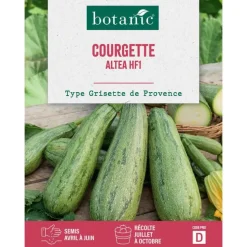 Graines de courgette Altea HF1 botanic® - graines à semer