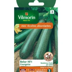Graines de courgette belor HF1 Vilmorin - graines à semer