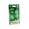 Graines de Courgette de Nice à fruit rond Vilmorin - graines à semer