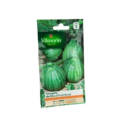 Graines de Courgette de Nice à fruit rond Vilmorin - graines à semer
