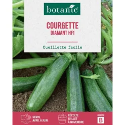 Graines de courgette diamant HF1 botanic® - graines à semer