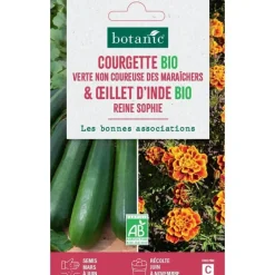 Graines de courgette verte non coureuse maraichers bio d'œillet bio botanic® - graines à semer