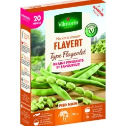 Graines de flageolet Flavert Vilmorin - graines à semer
