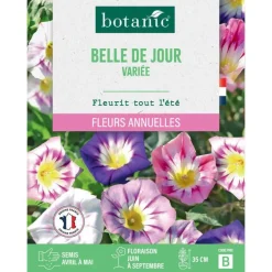 Graines de fleurs Belle de jour variée botanic®