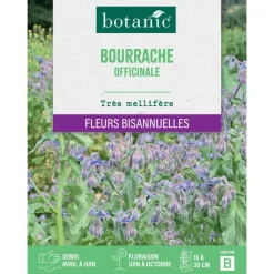 Graines de fleurs de Bourrache officinale botanic®