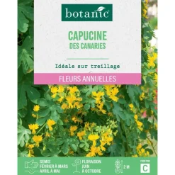 Graines de fleurs de Capucine des canaries botanic®
