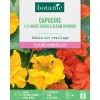 Graines de fleurs de Capucine demihaute double Gleam Hybrids botanic®