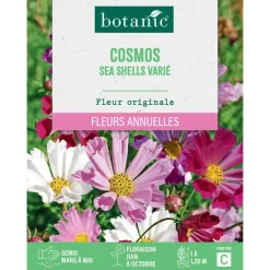Graines de fleurs de Cosmos sea shells varié botanic®