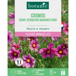Graines de fleurs de Cosmos géant Sensation radiance rose botanic®
