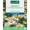 Graines de fleurs de Marguerite petite princesse naine blanche botanic®