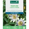 Graines de fleurs de Passiflore fleur de la passion botanic®