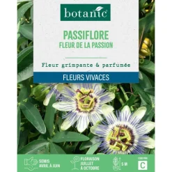 Graines de fleurs de Passiflore fleur de la passion botanic®