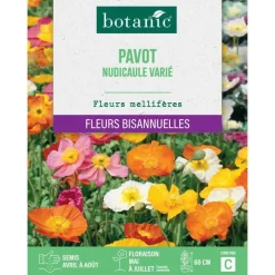 Graines de fleurs de Pavot nudicaule ou Pavot d'Islande varié botanic®