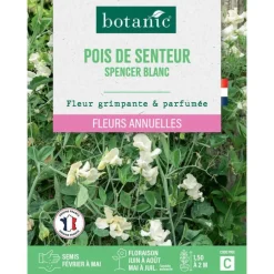 Graines de fleurs de Pois de senteur spencer blanc botanic®