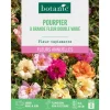 Graines de fleurs de Pourpier à grande fleur double varié botanic®