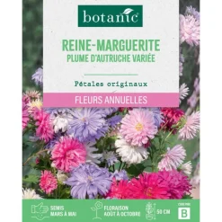 Graines de fleurs de Reinemarguerite plume d'autruche ou Aster de Chine variée botanic®