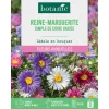 Graines de fleurs de Reinemarguerite simple de Chine variée botanic®