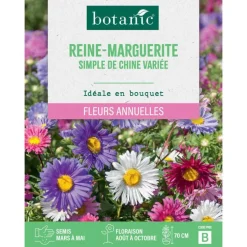 Graines de fleurs de Reinemarguerite simple de Chine variée botanic®