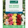 Graines de fleurs de Rose trémière double grande variée botanic®