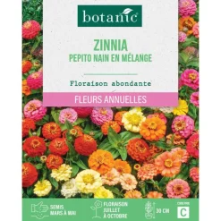 Graines de fleurs de Zinnia pepito nain en mélange botanic®