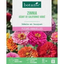 Graines de fleurs de Zinnia géant de californie varié botanic®