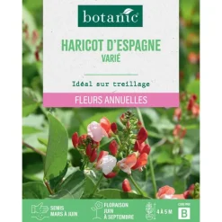 Graines de fleurs d'Haricot d'Espagne varié botanic®