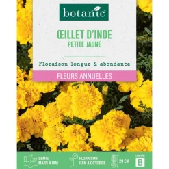Graines de fleurs d'Œillet d'inde petite jaune botanic®